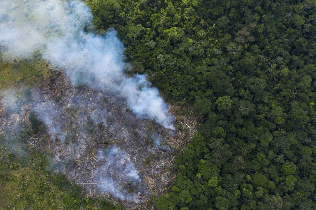 forest fire