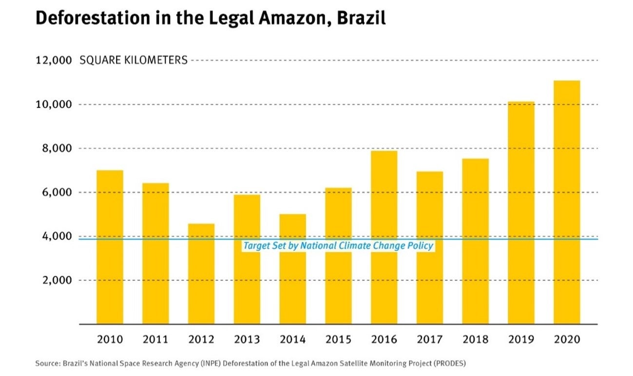 Grafico sobre desmatamento