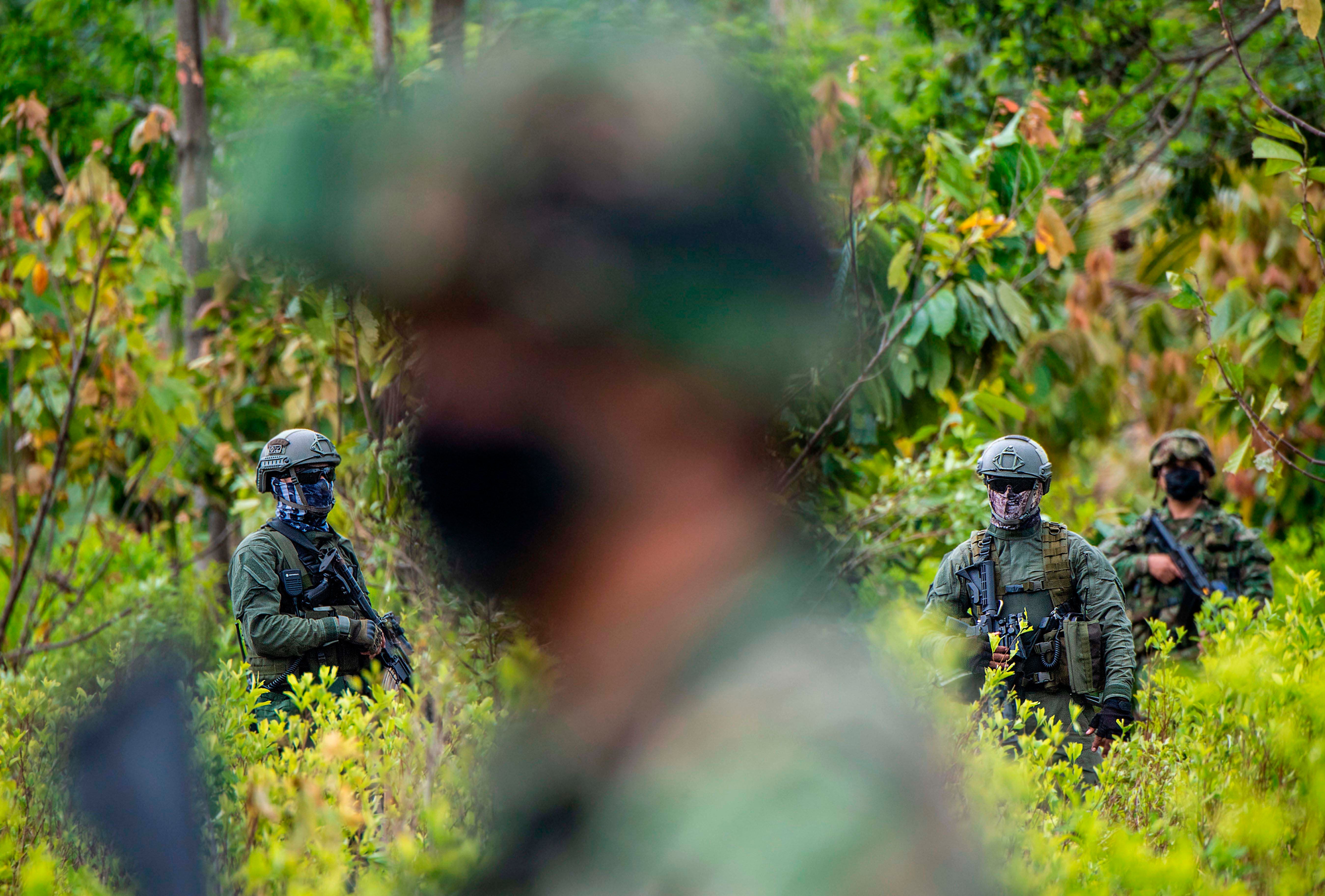 Agentes de la policía colombiana durante una operación en diciembre de 2020 para erradicar cultivos ilícitos en Tumaco, departamento de Nariño, Colombia. En octubre de 2017, la policía habría matado a siete manifestantes que protestaban en contra de la erradación de cultivos de coca en Tumaco.