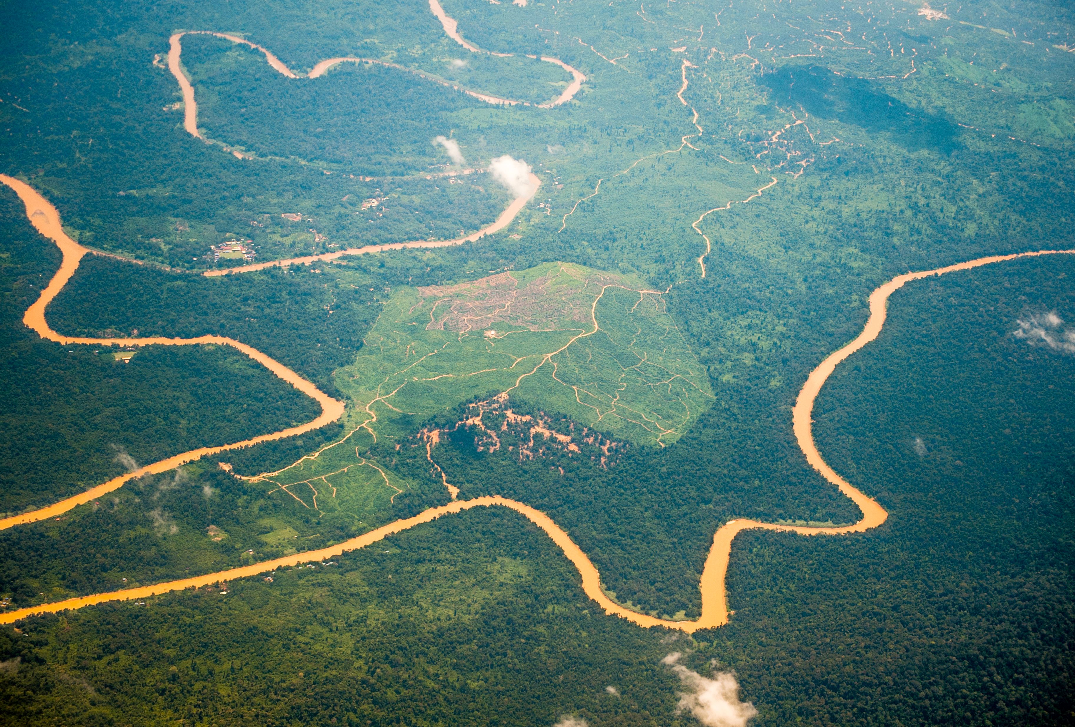 Land clearing for oil palm plantations area is seen from above in Borneo, Malaysia on September 11, 2019. 