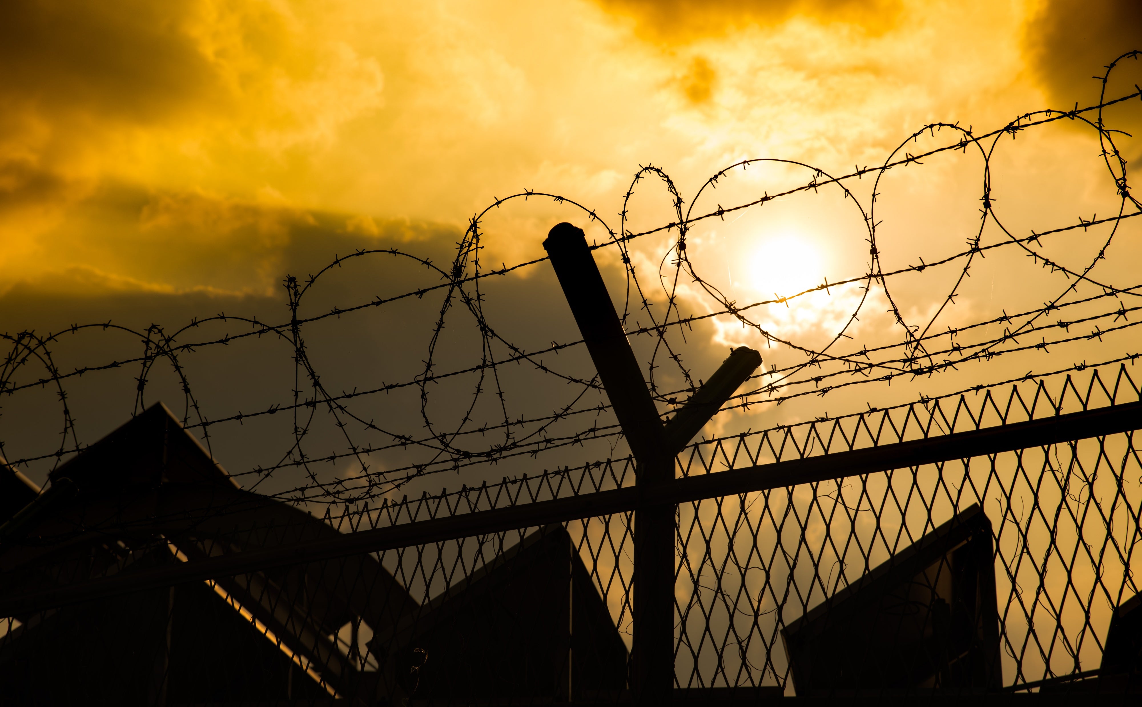 Barbed wire.
