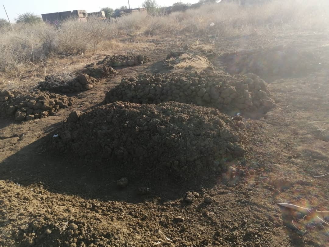 Photographie des tombes creusées par des villageois de Tayba, au Soudan, sur le lieu de sépulture des victimes tuées lors de l’attaque menée par les Forces du Bouclier du Soudan le 10 janvier 2025. Cette photo a été prise et envoyée par un habitant du village, puis géolocalisée par Human Rights Watch.