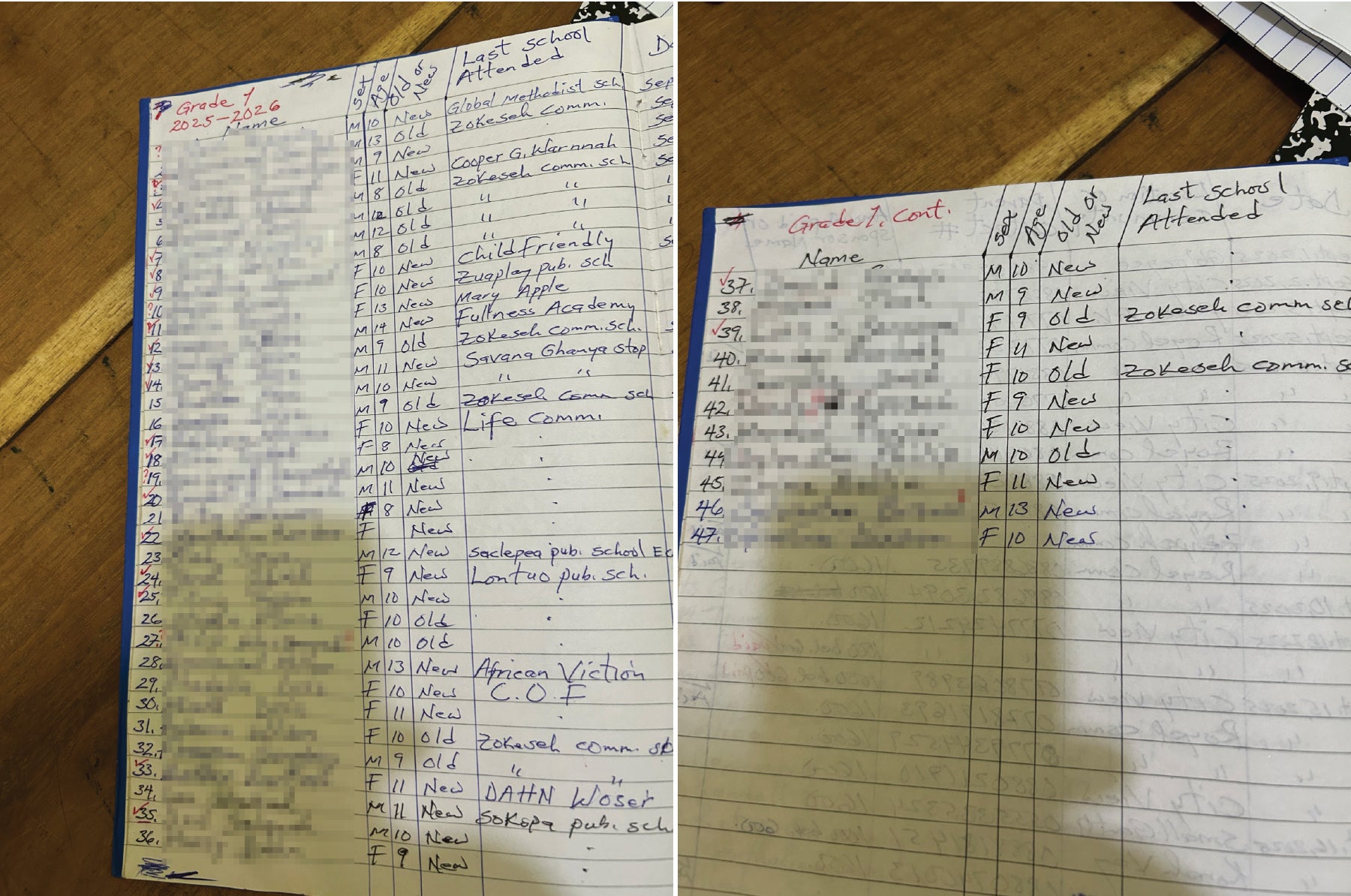 Redacted documents