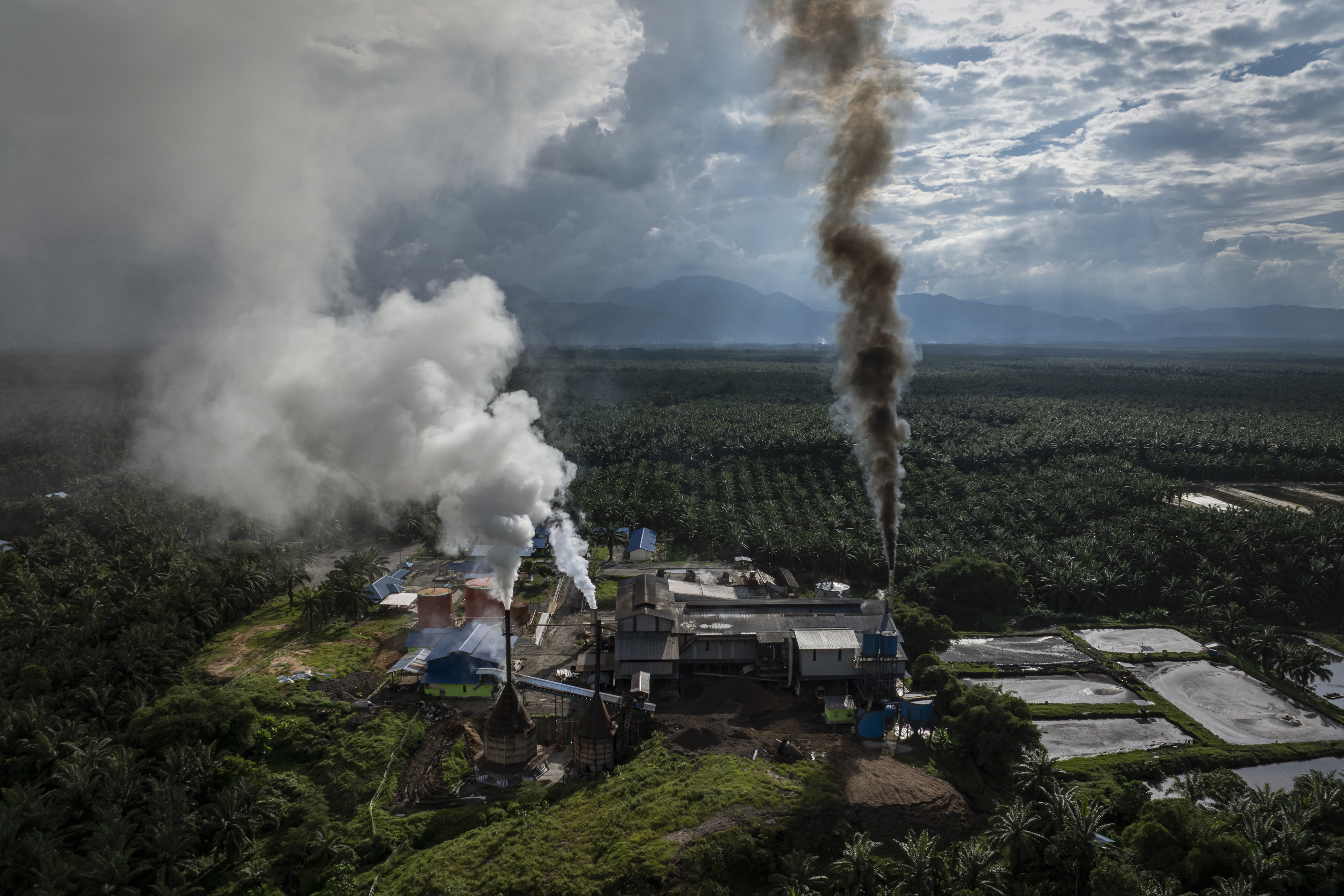 An aerial view of a palm oil processing factory in North Sumatra, Indonesia, May 9, 2026. 