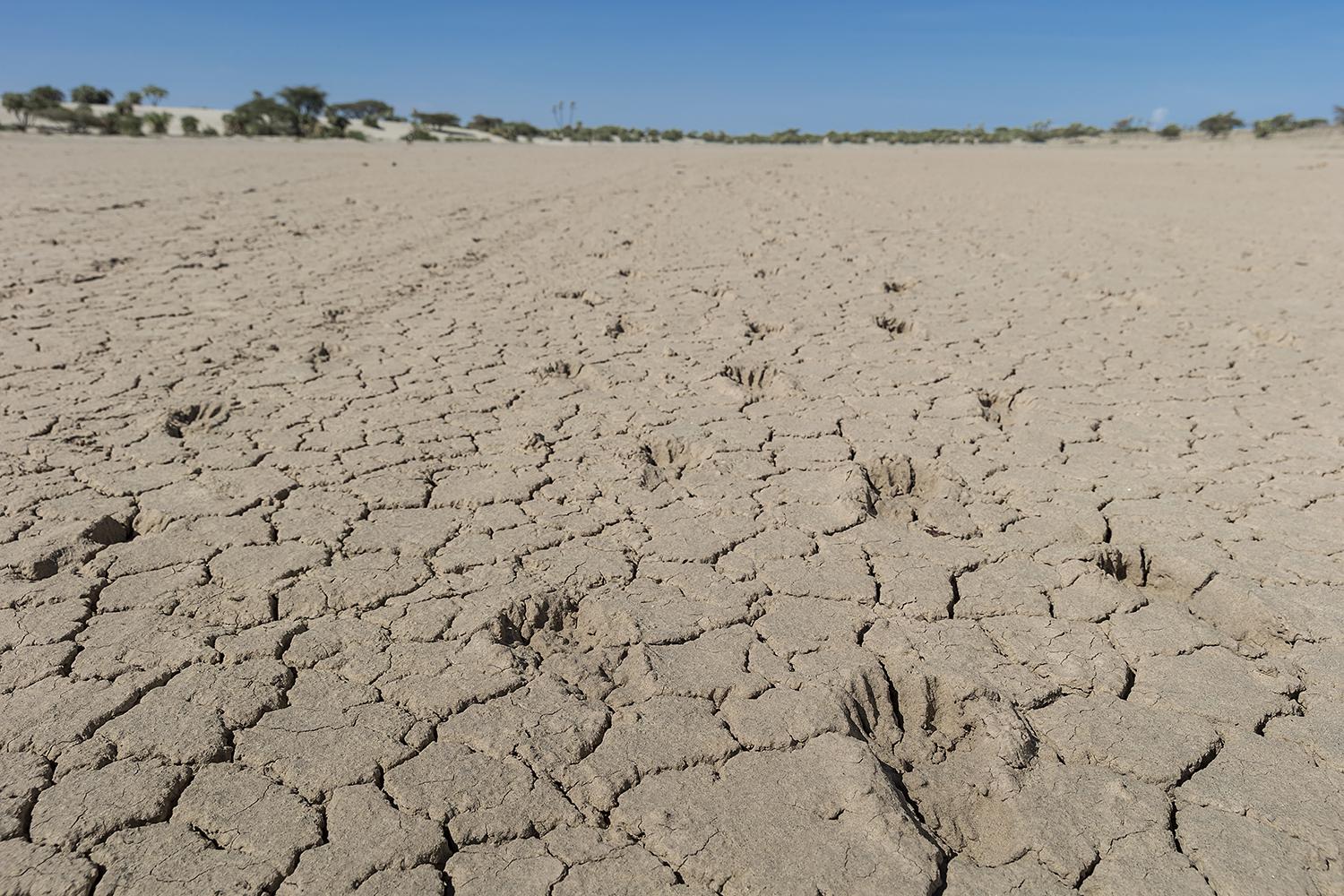 Dry earth