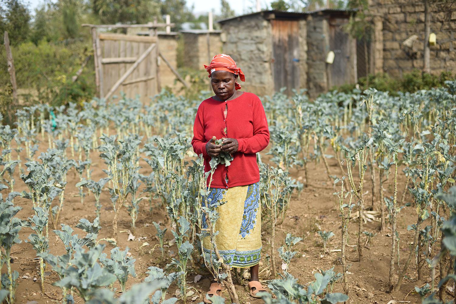 Wangechi N., 60, was raped by men she did not know in December 2007.