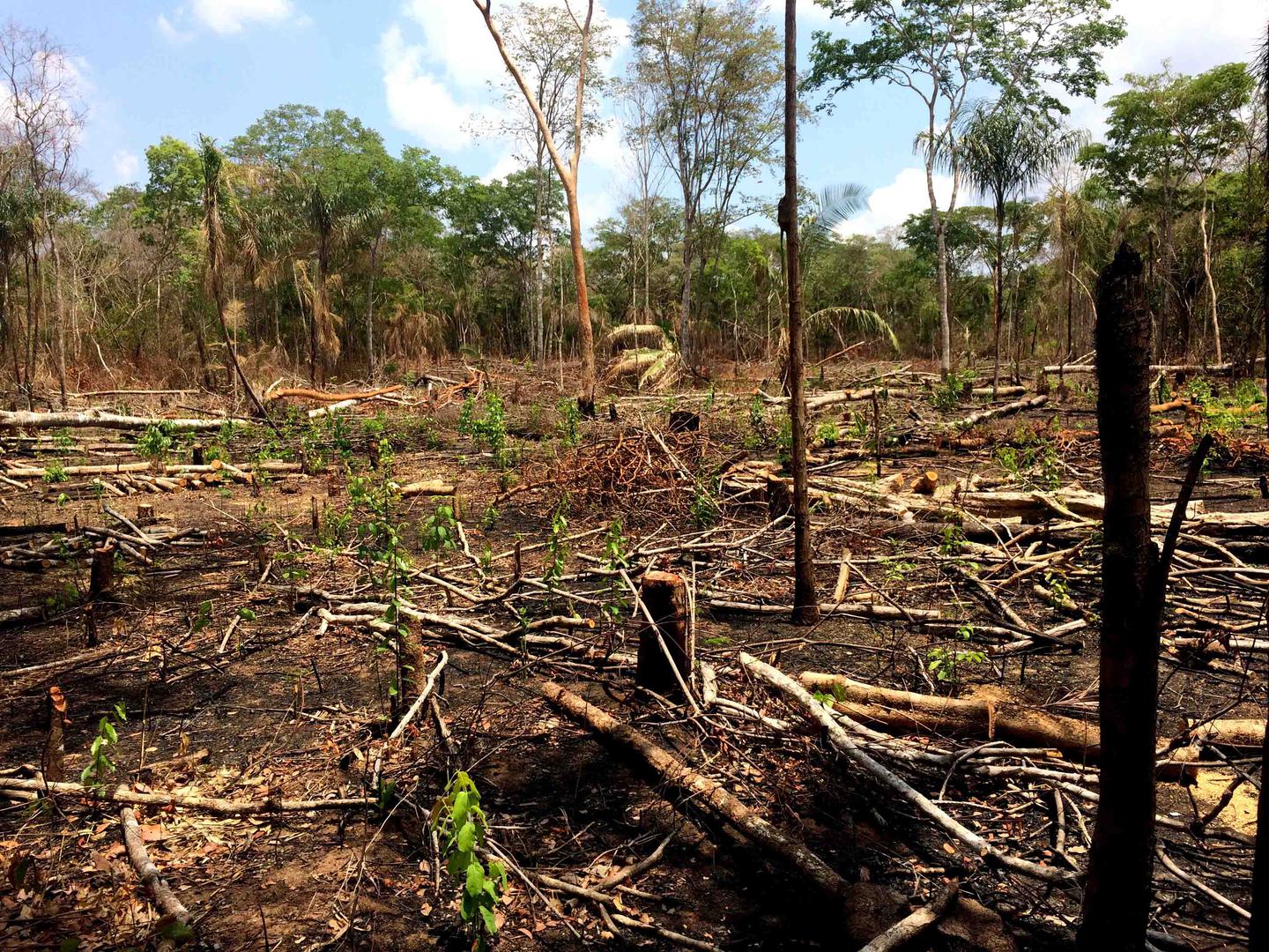 201909ENV_Brazil_pic1