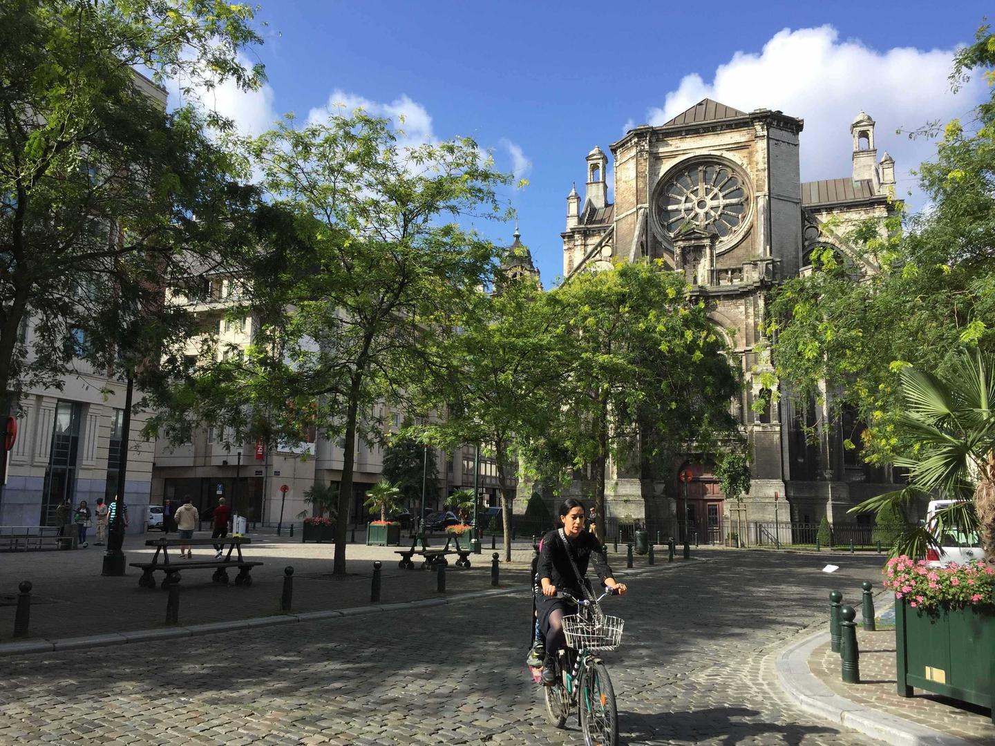 A woman riding a bike in a street on a sunny day