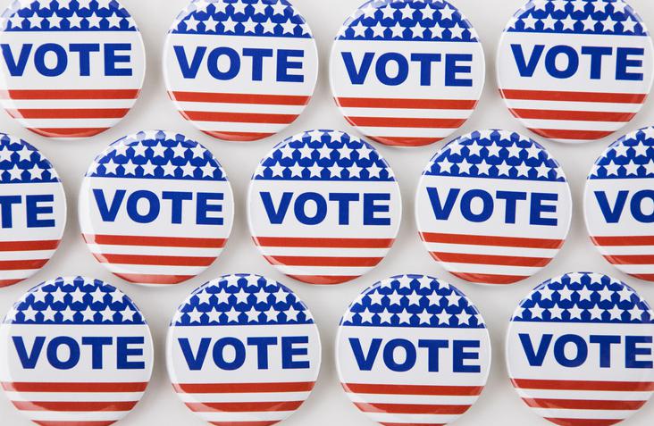 201911us_2020_election_voting