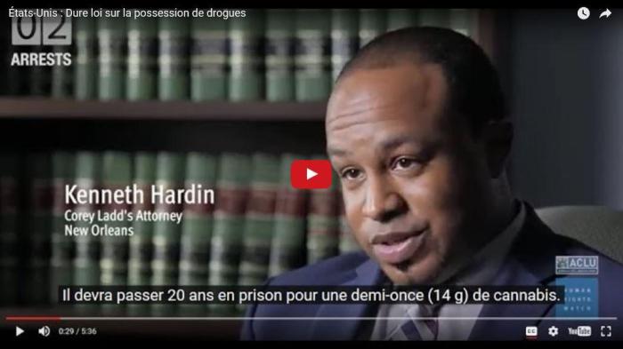Vidéo sur les effets dévastateurs de la criminalisation de la possession de drogues aux Etats-Unis. https://youtu.be/97i5vzNy2v4