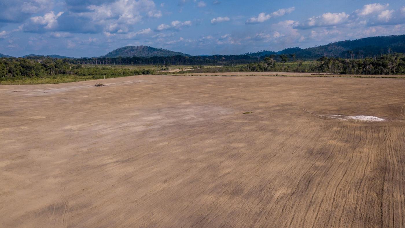  Un sembradío de soja dentro del asentamiento Terra Nossa el 3 de octubre de 2021.
 © 2021 Fernando Martinho/Repórter Brasil