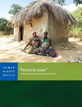 Cover for Zambia Report