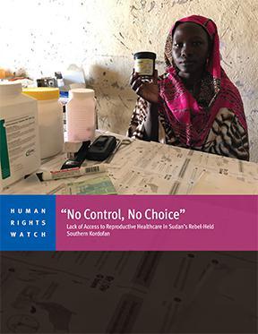 Cover of the Sudan Report 