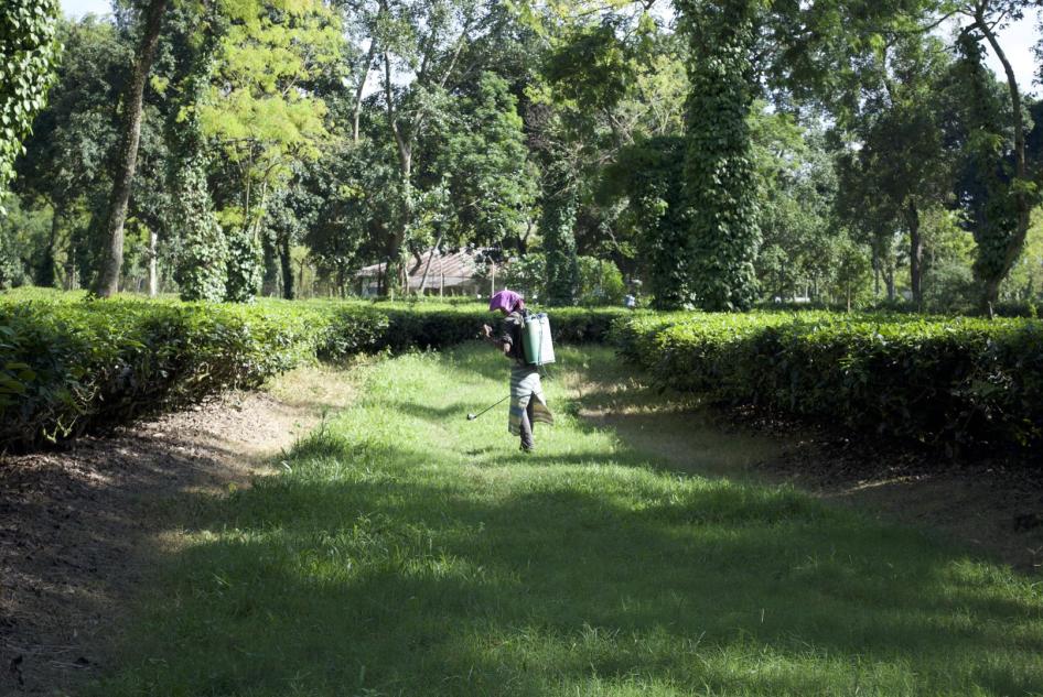 Sprayer on Hattigor