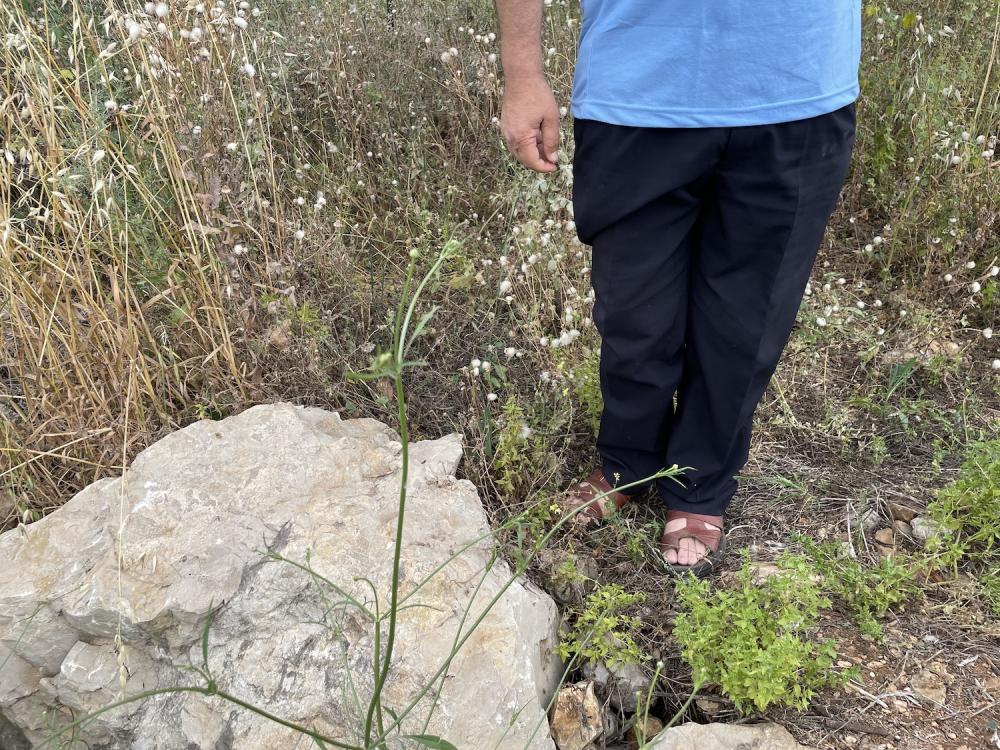 הנקודה שתושבים מצאו את גופתו של מוחמד א-סלים ב-2 במארס 2023. מותו נקבע עם הגיעו לבית חולים מקומי. 6 במאי 2023