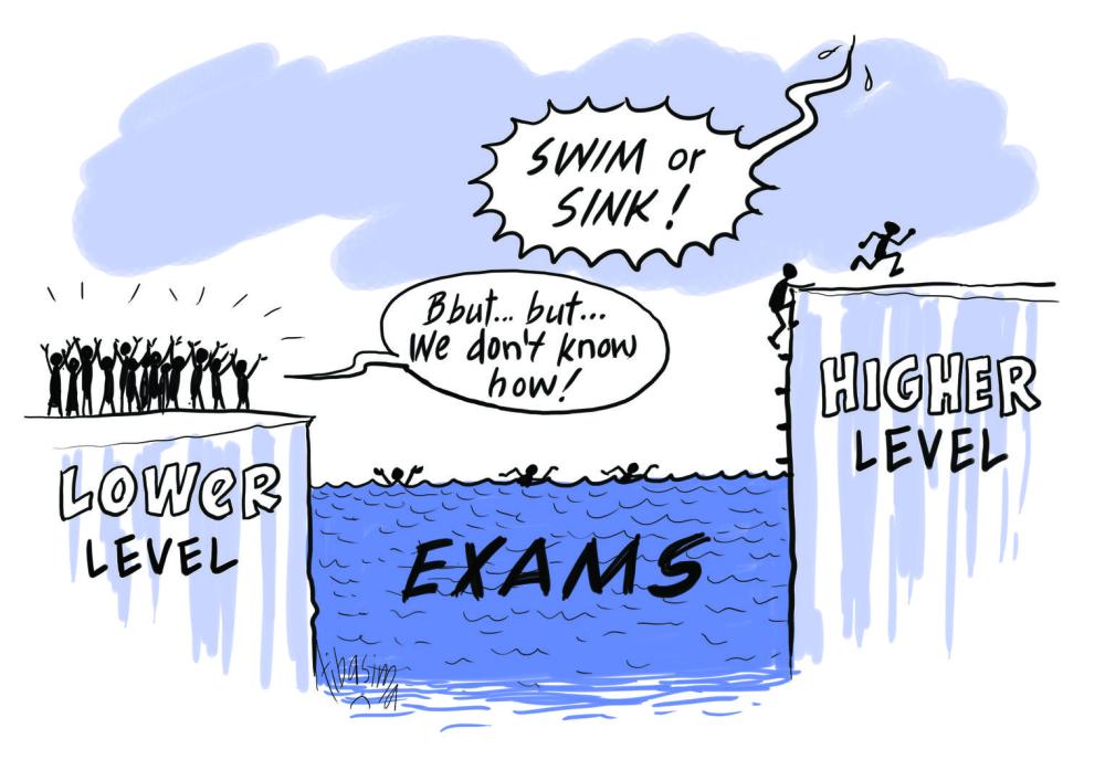 Cartoon for Tanzania Education Report 