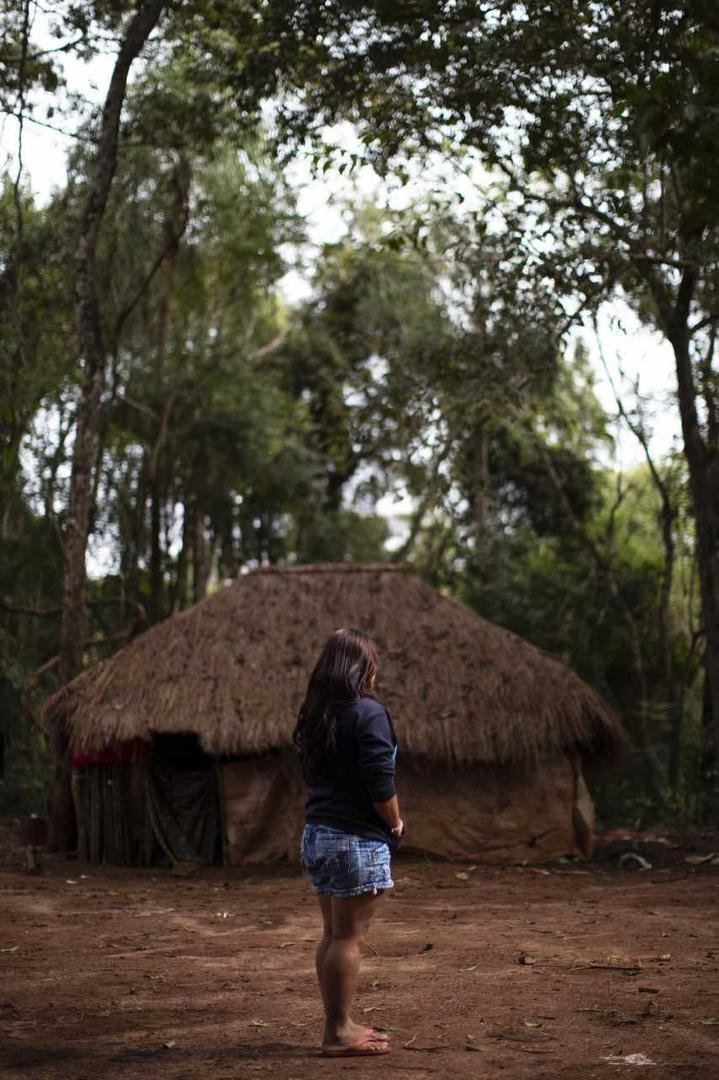 201807americas_brazil_pesticides8