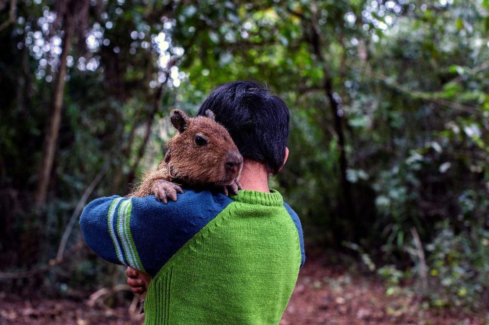 Aratiri, a 9-year-old boy, lives in an indigenous community in the state of Mato Grosso do Sul. Residents of the community told Human Rights Watch of numerous cases of acute poisoning by pesticides in recent years from both aerial and ground spraying. 