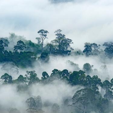 Danum Valley Conservation Area, State of Sabah, Borneo Island, Malaysia, August 5, 2019.