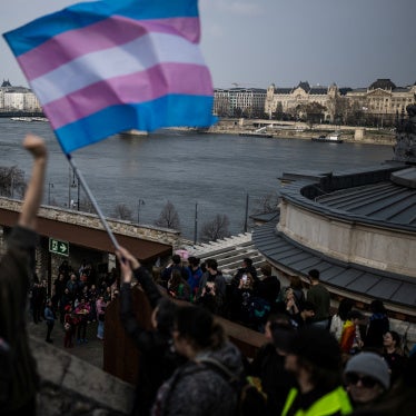 A transgender rights flag is held during a march after the Hungarian parliament passed a law that bans LGBT-related events, Budapest, Hungary, March 30, 2025. 