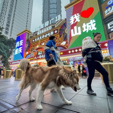 A pedestrian walks a dog in Chongqing, China, on December 17, 2024. 